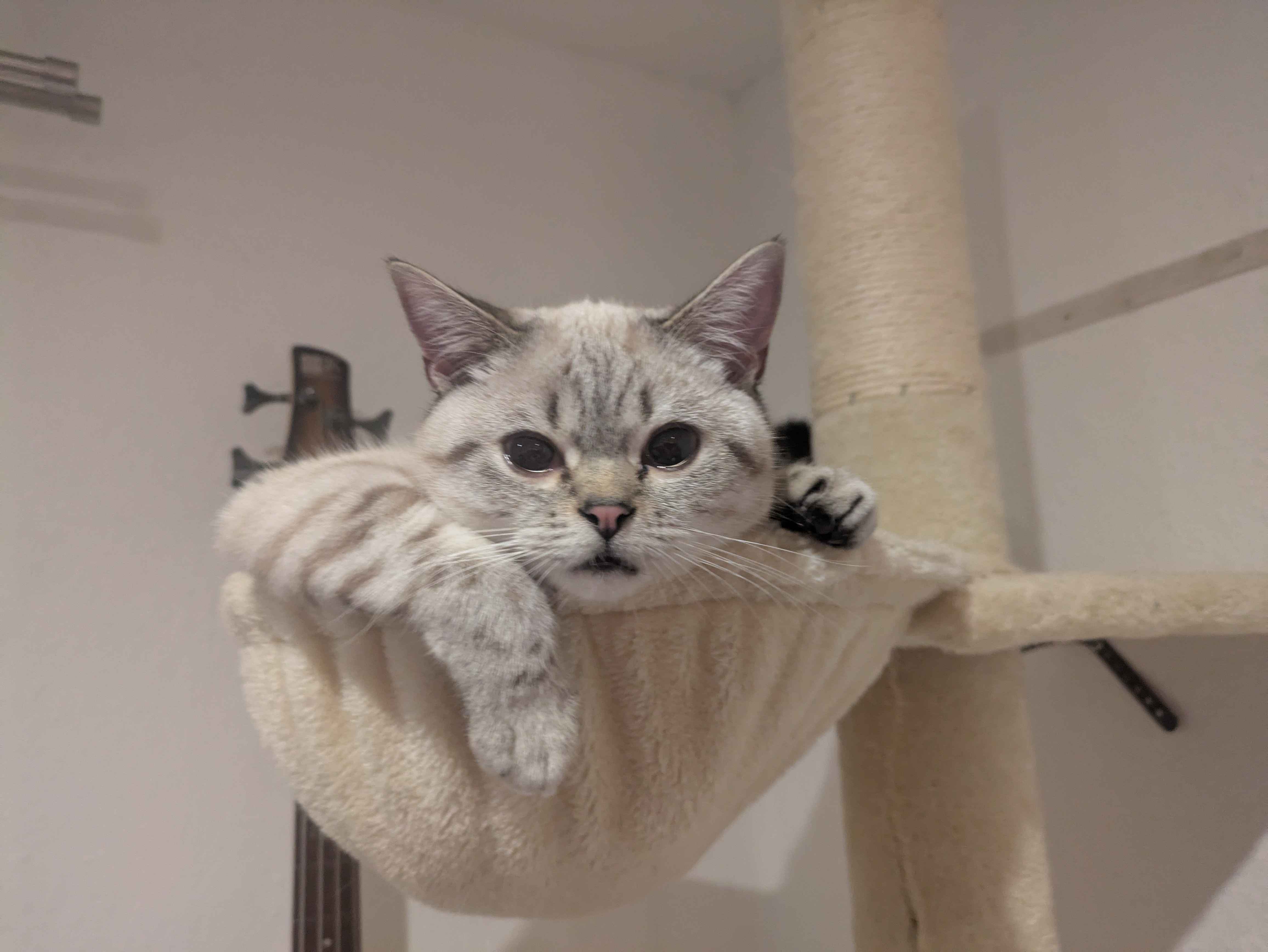 Palomita resting her arm in a cool pose